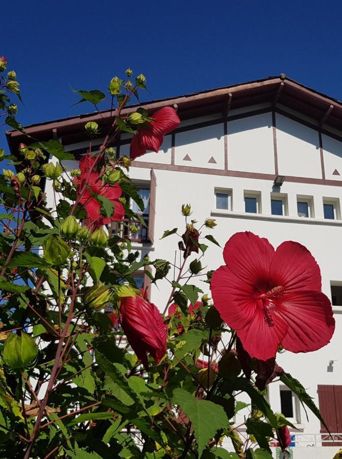Hotel Pyrenees Atlantique Saint-Pée-sur-Nivelle Eksteriør bilde