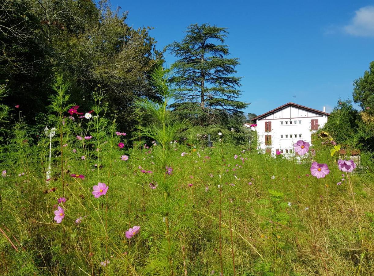 Hotel Pyrenees Atlantique Saint-Pée-sur-Nivelle Eksteriør bilde